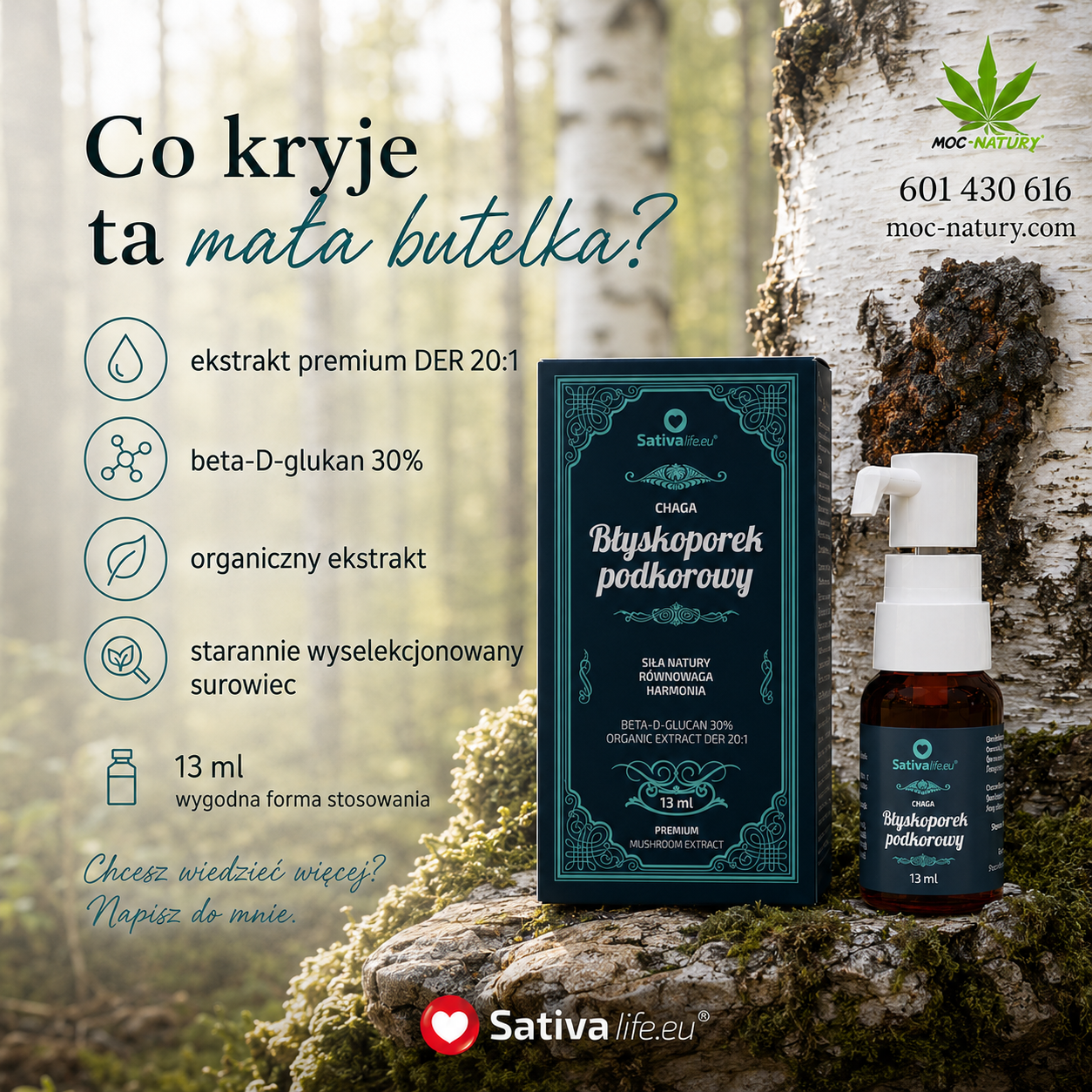 Chaga – błyskoporek podkorowy - obrazek 5