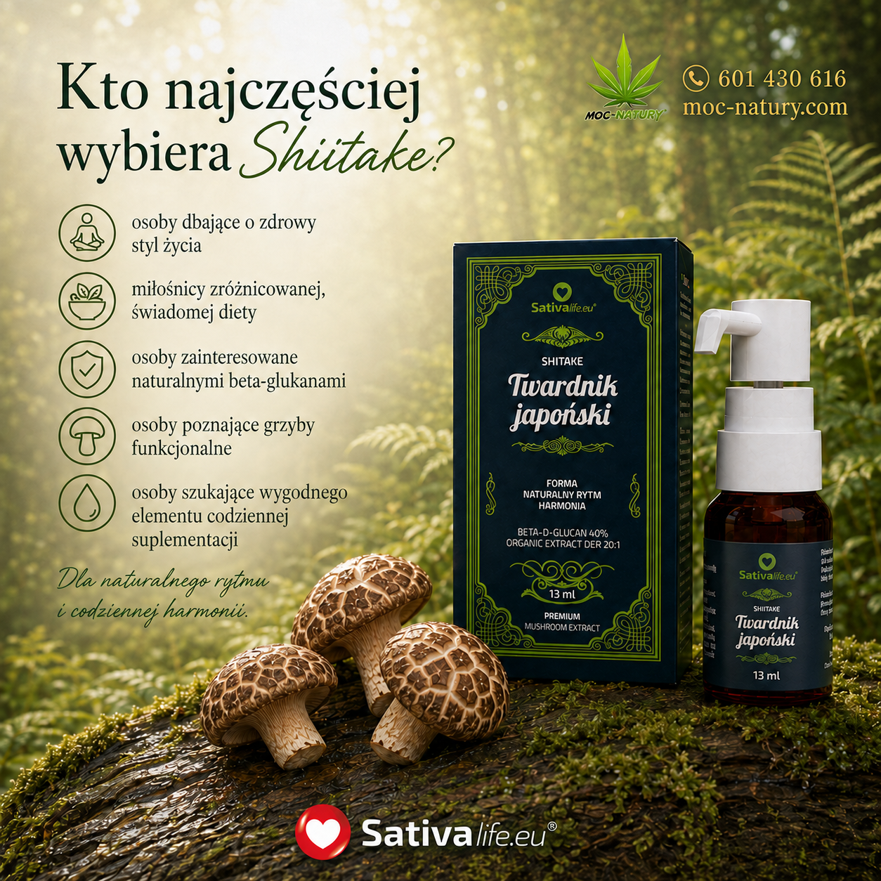 Shiitake – twardnik japoński - obrazek 3