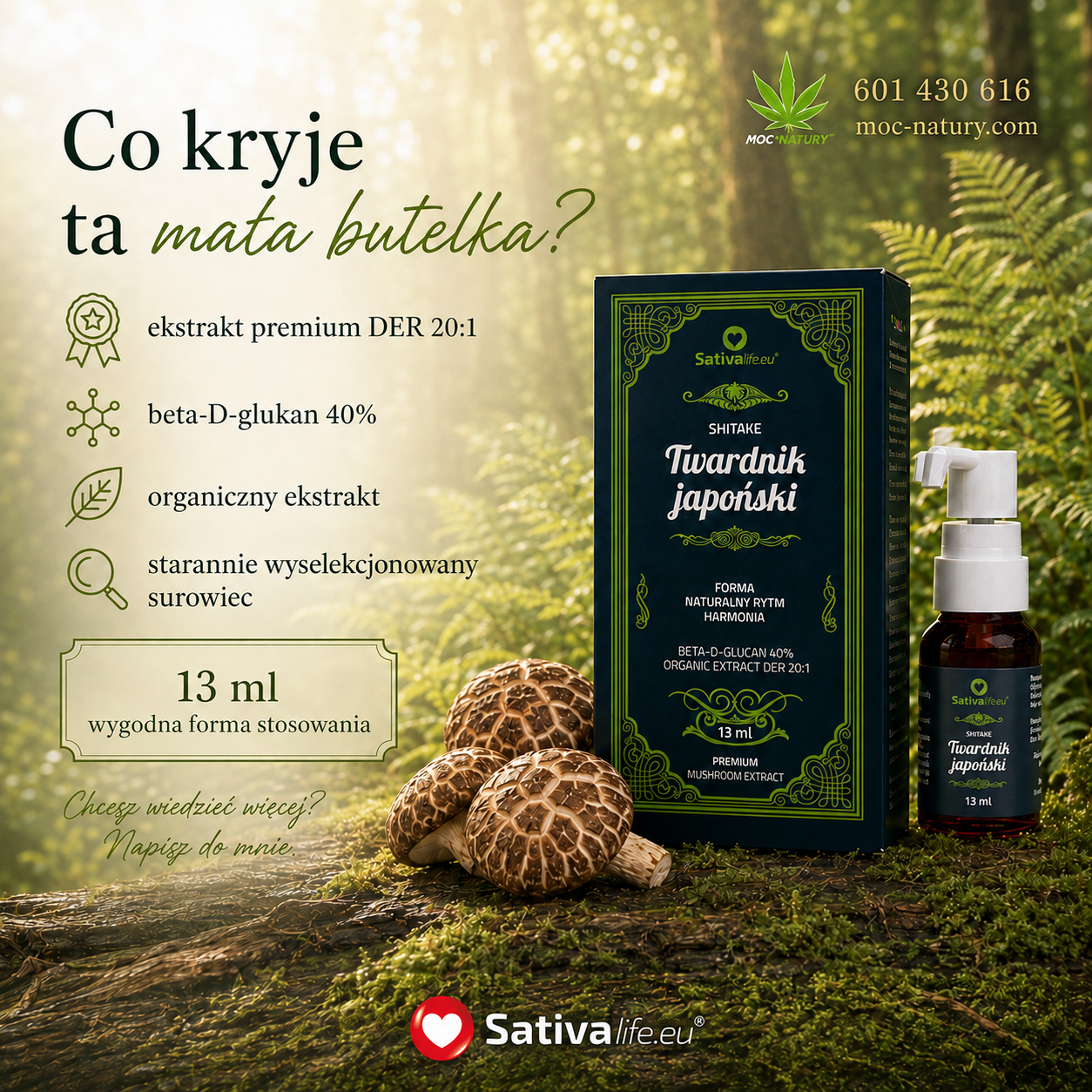 Shiitake – twardnik japoński - obrazek 5