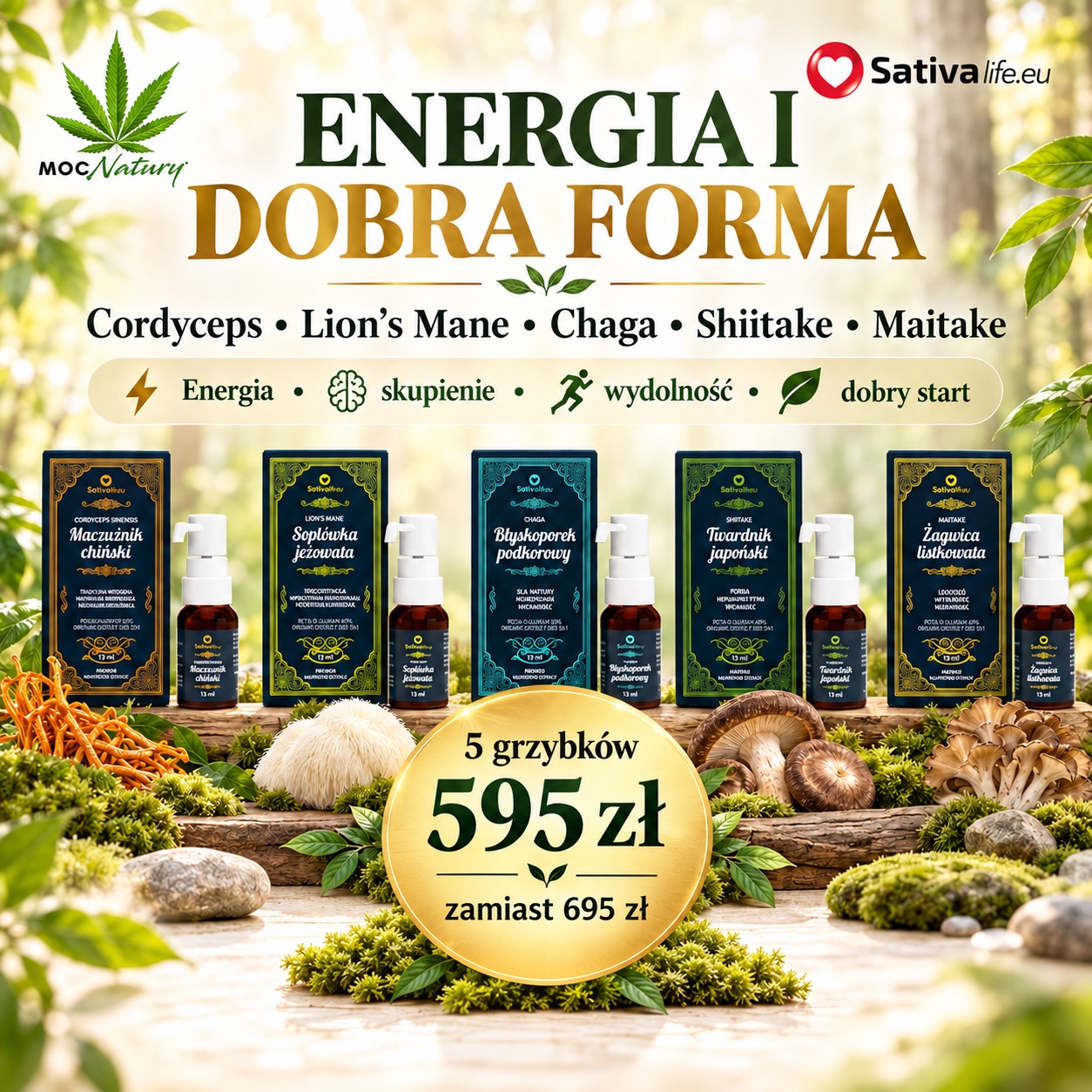 Grzyby funkcjonalne – Zestaw Energia i dobra forma – koncentracja, aktywność i codzienna witalność