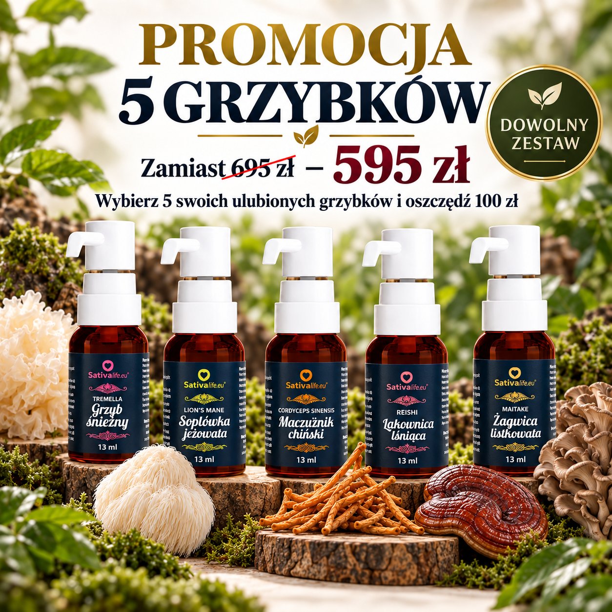 Grzyby funkcjonalne w płynie - ekstrakty