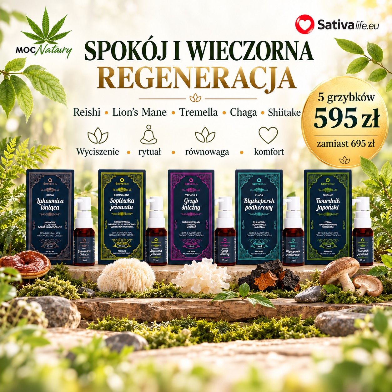 Grzyby funkcjonalne – Zestaw „Spokój i wieczorna regeneracja” Sativa Life