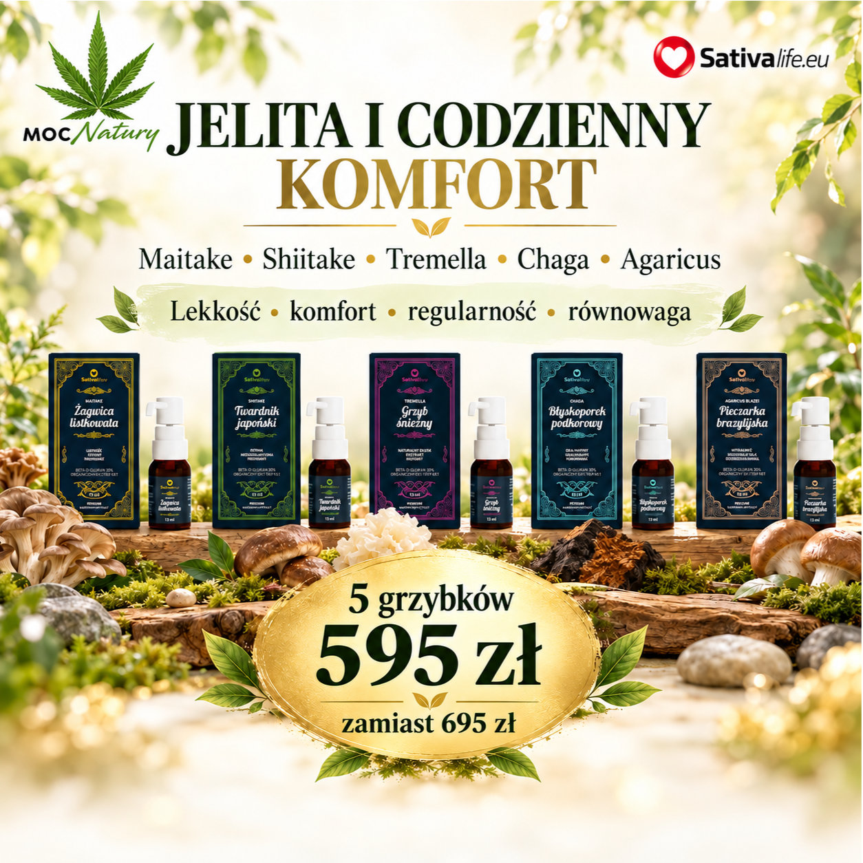 Grzyby funkcjonalne – Zestaw Jelita i codzienny komfort
