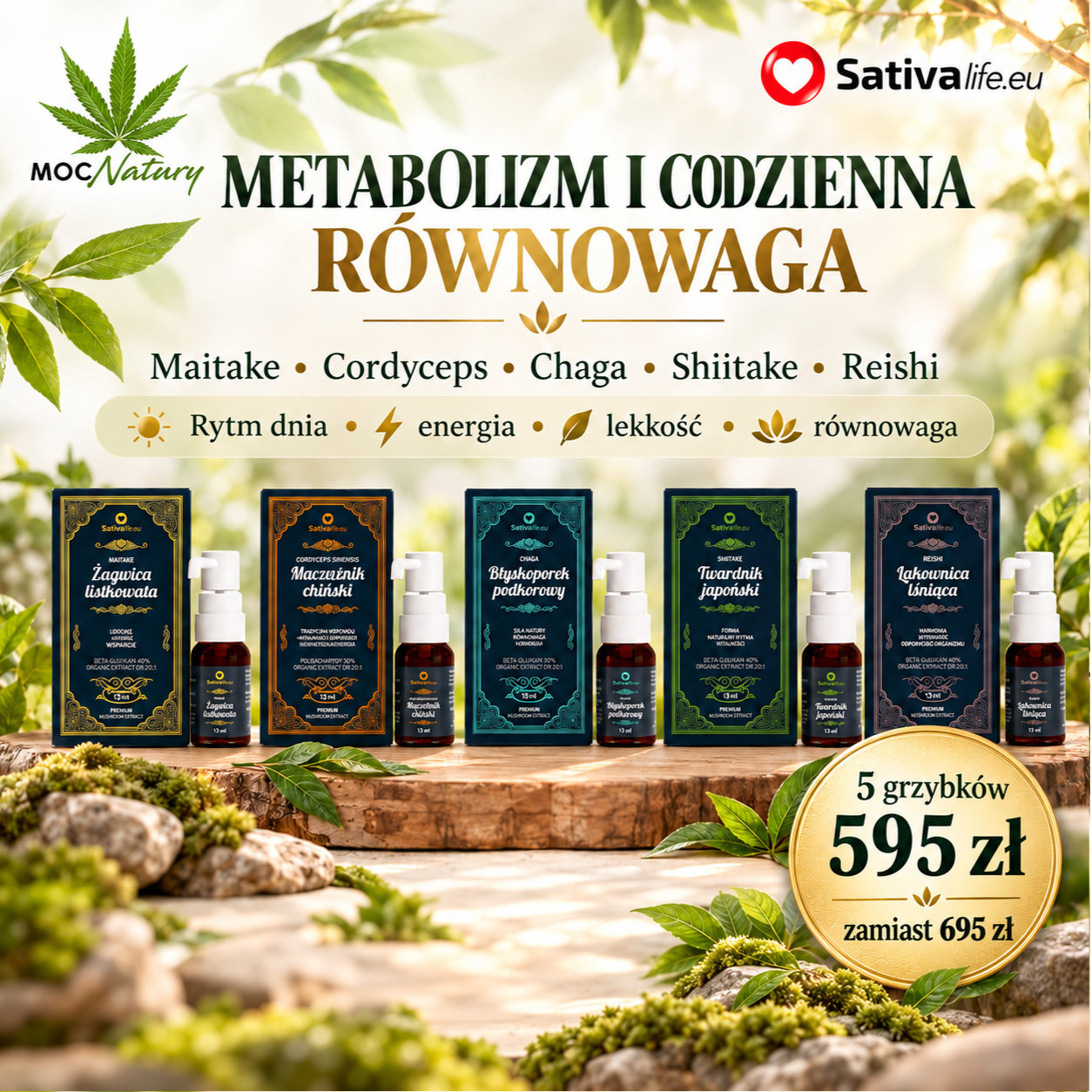 Grzyby funkcjonalne – Zestaw Metabolizm i codzienna równowaga