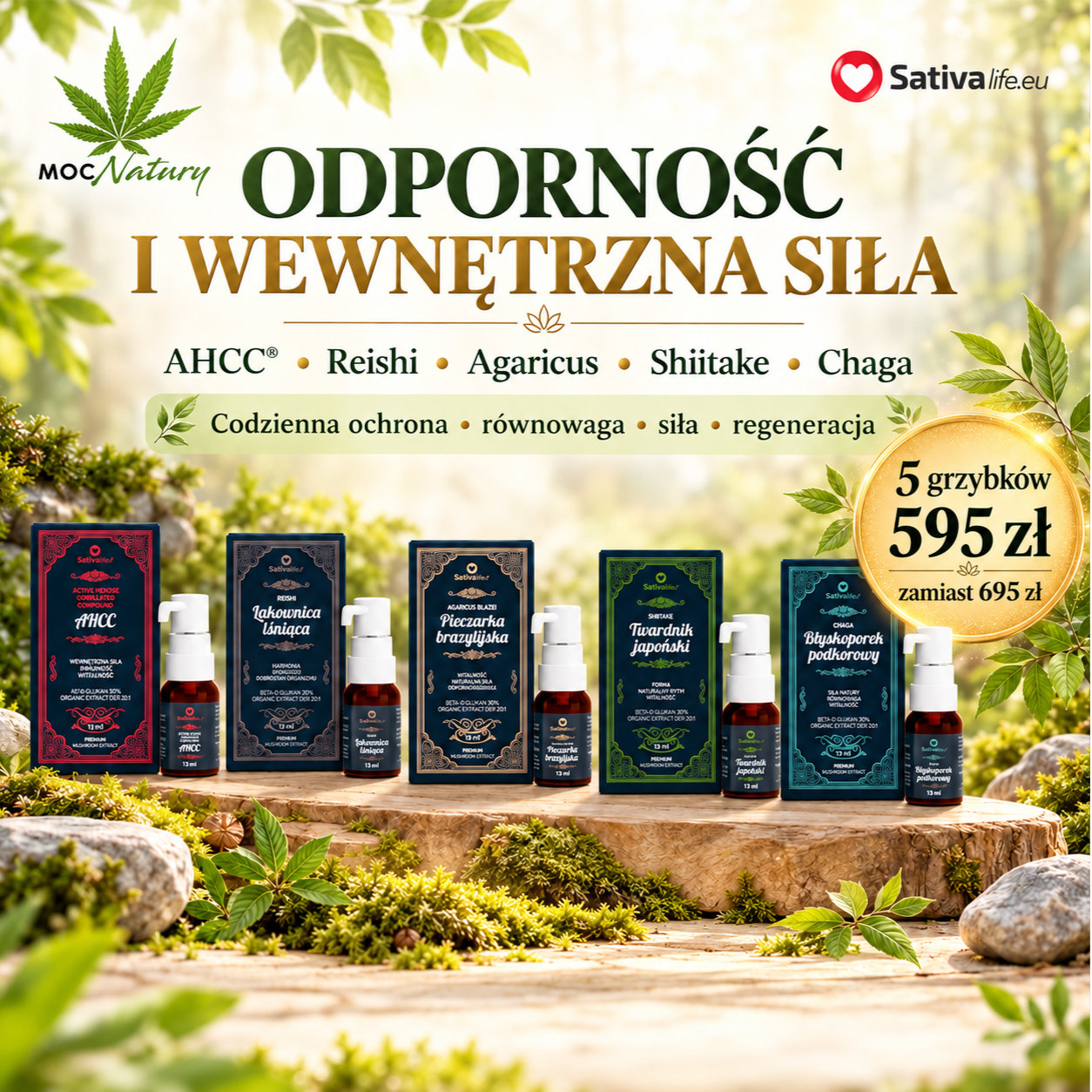 Grzyby funkcjonalne – Zestaw Odporność i wewnętrzna siła