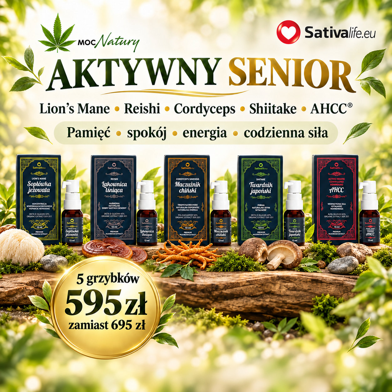 Grzyby funkcjonalne – Zestaw „Aktywny Senior” – pamięć, spokój i energia