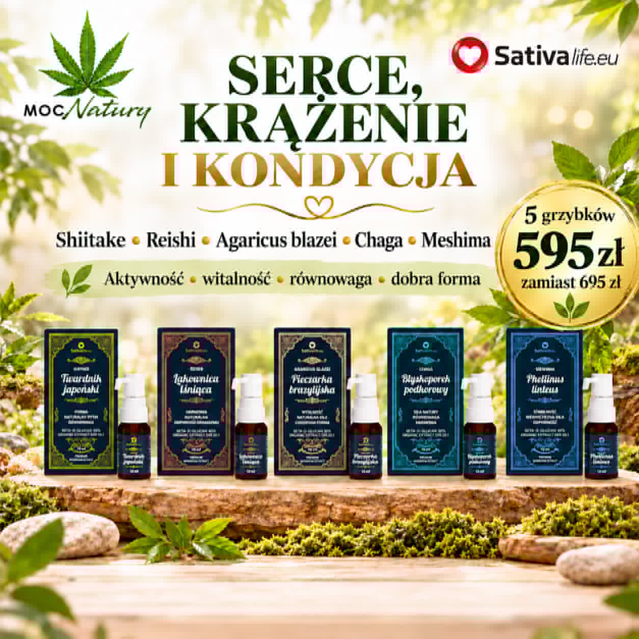 Grzyby funkcjonalne – Zestaw Serce, krążenie i kondycja – aktywność, witalność i dobra forma.