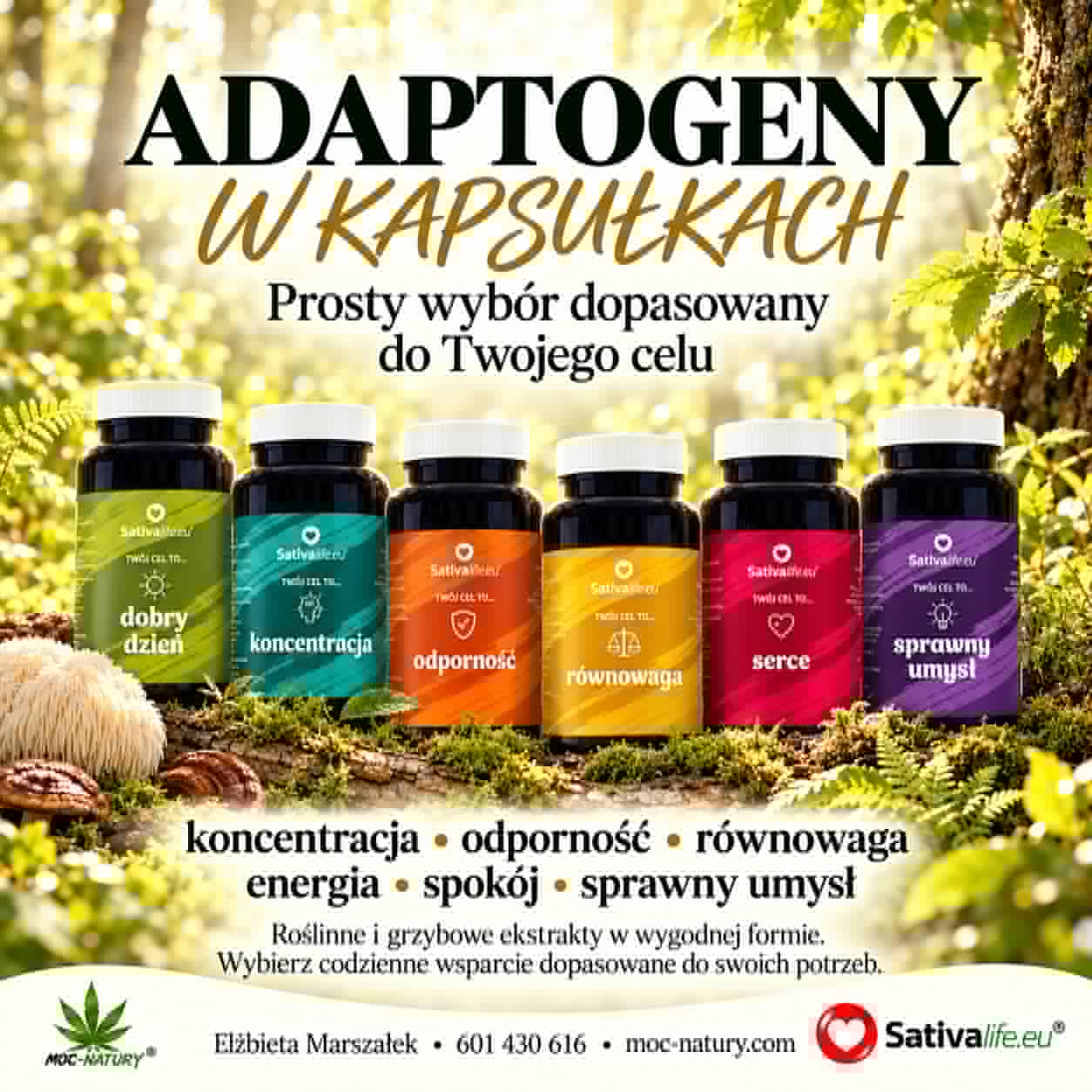 Adaptogeny grzyby w kapsułkach Sativa Life – kompletny zestaw 7 suplementów Moc Natury